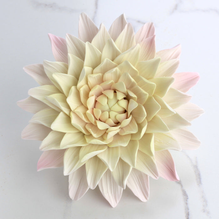Gumpaste Dahlia Sugarflowers are perfect for cake decorating fondant wedding cakes & cupcakes. Handmade cake toppers from gumpaste/fondant. Wholesale sugarflower. Caljava Bakery Supplies