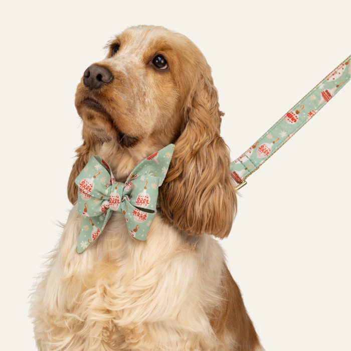 Long-eared dog with wavy fur dressed in a mint green bow tie and leash set featuring whimsical holiday ornaments and snowflake designs.