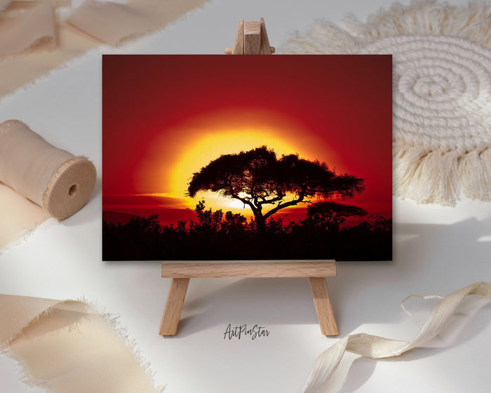 Tree Silhouettes in Africa with Sunrise Landscape Custom Greeting Cards
