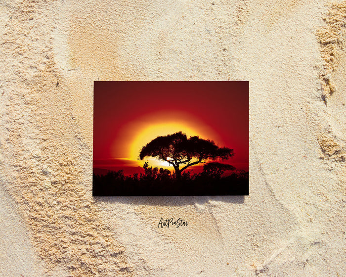 Tree Silhouettes in Africa with Sunrise Landscape Custom Greeting Cards
