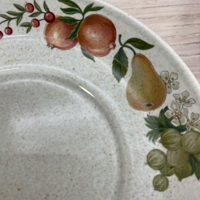 Wedgewood Tan-Multi Round Ceramic Saucers - Set of 4