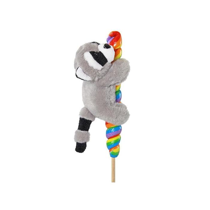 Raccoon