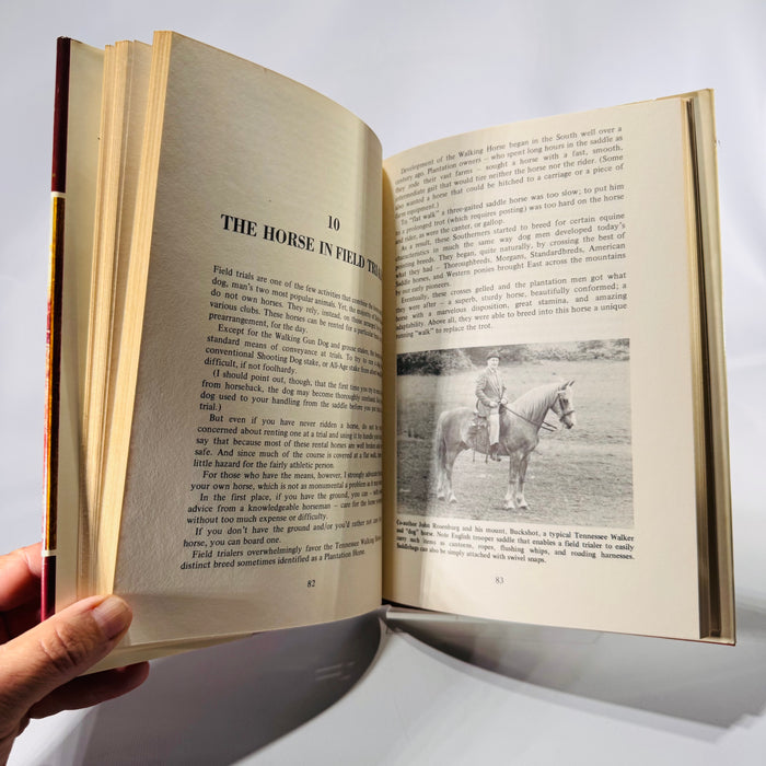 Your Bird Dog and You by Mike Seminatore (1977, Hardcover with Dust Jacket)